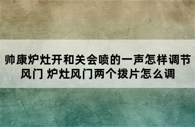 帅康炉灶开和关会喷的一声怎样调节风门 炉灶风门两个拨片怎么调